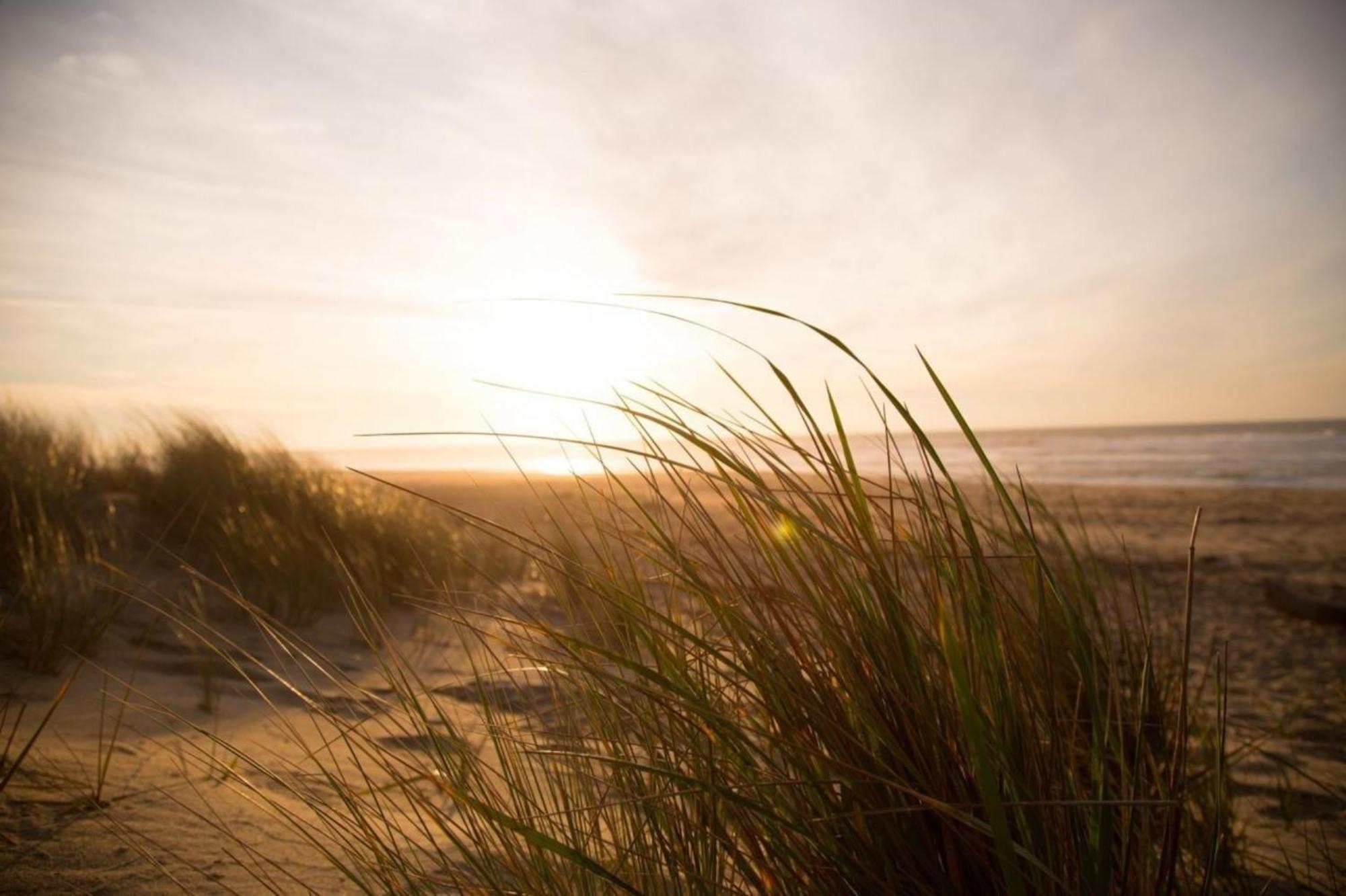 Kleine Nordseewelle Ohne Hund Norden Bagian luar foto