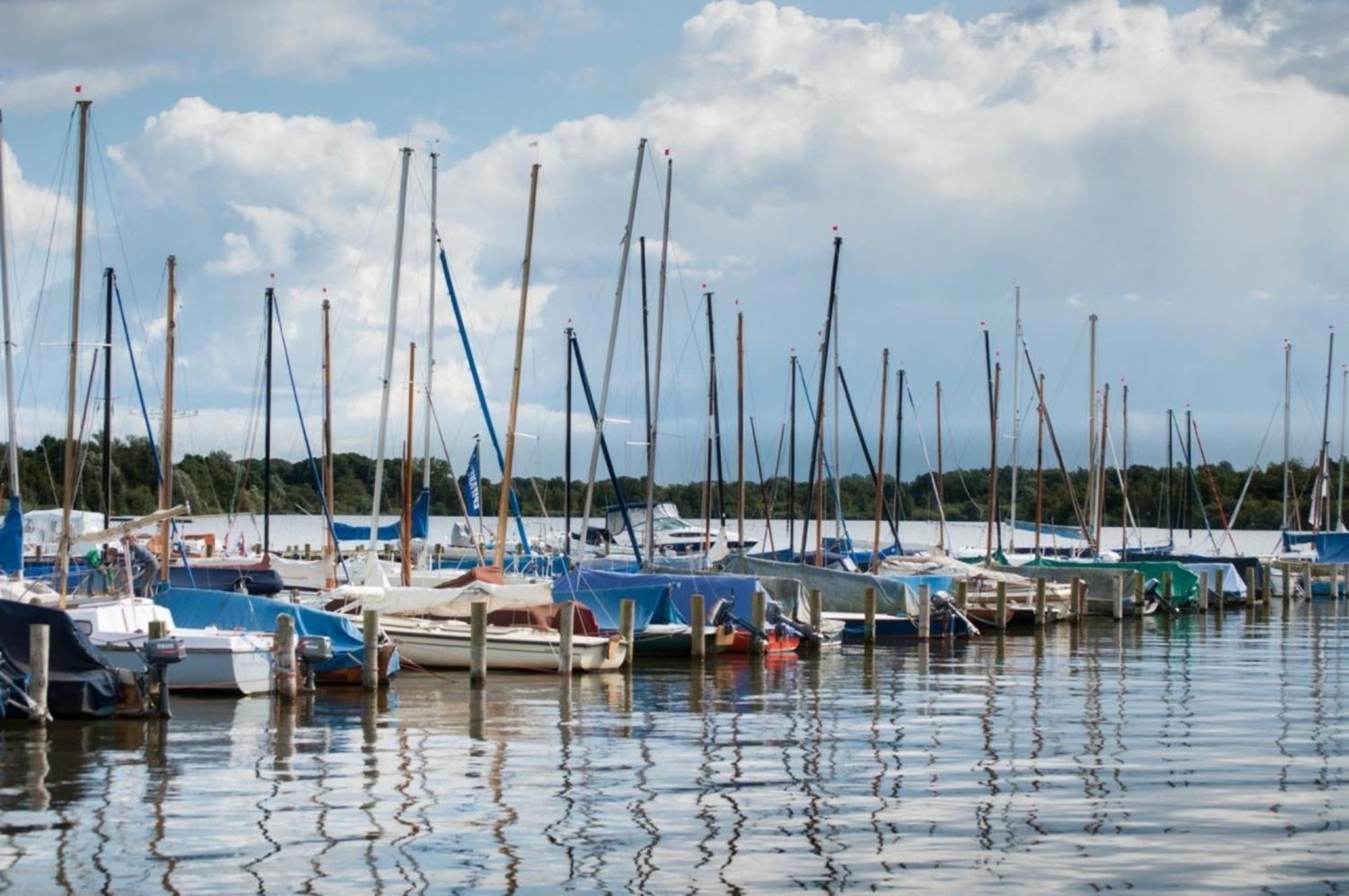 Kleine Nordseewelle Ohne Hund Norden Bagian luar foto