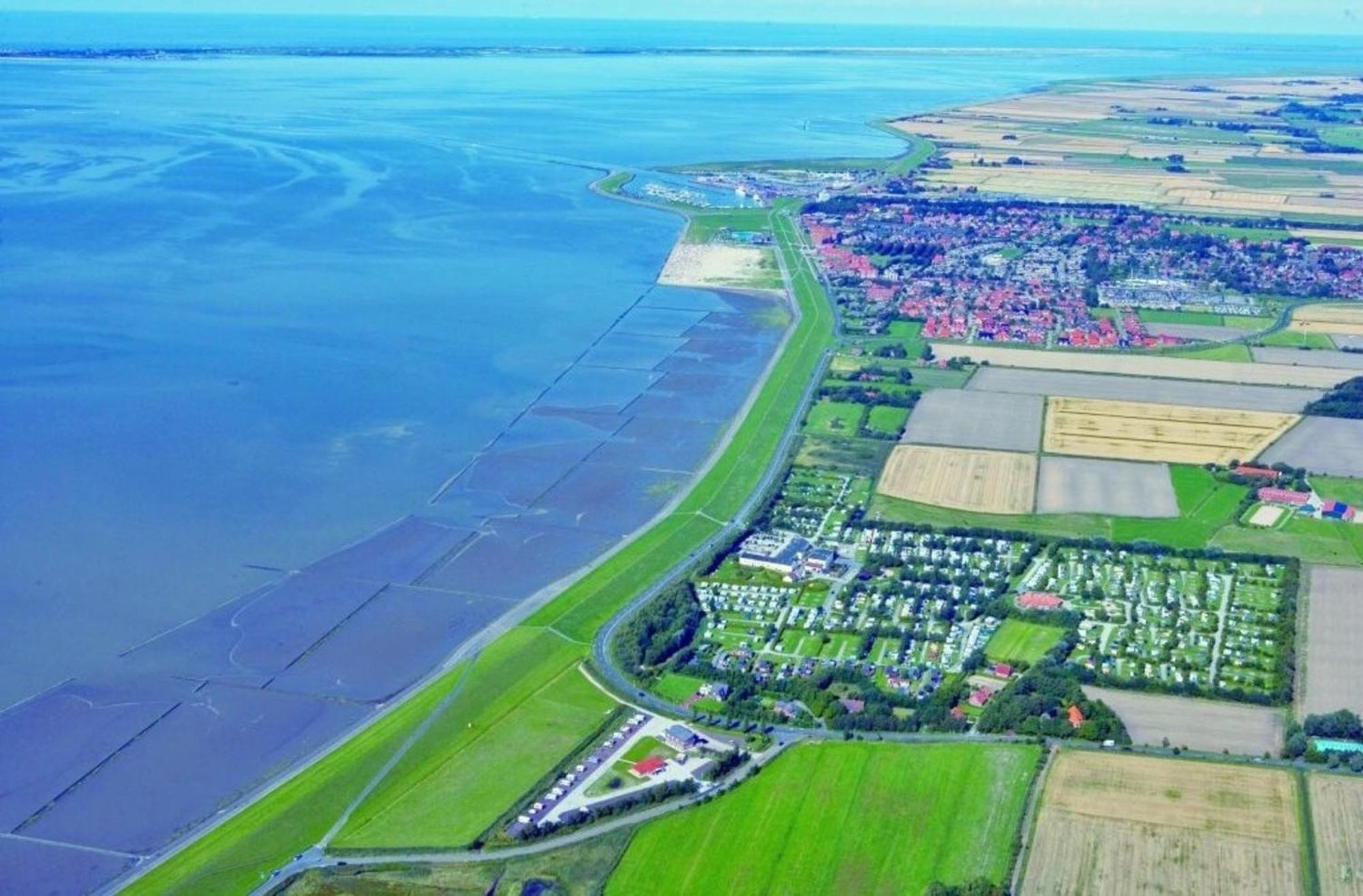 Kleine Nordseewelle Ohne Hund Norden Bagian luar foto